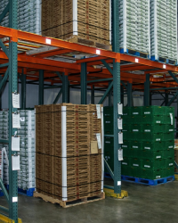 ChatGPT Image 7 ene 2026, 02_34_26 p.m.