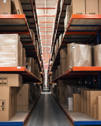 ChatGPT Image 8 ene 2026, 07_40_47 p.m.